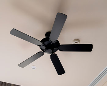 Ceiling Fan Installation